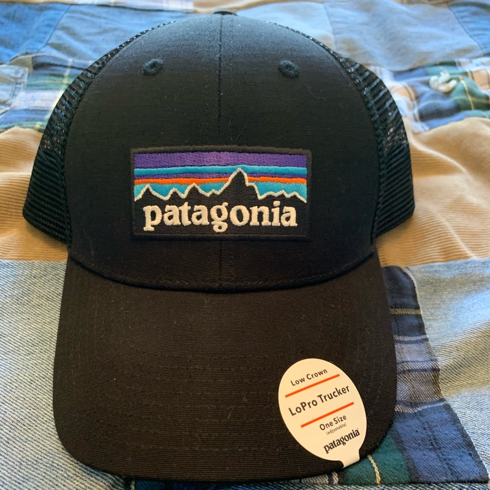 Patagonia Trucker hat